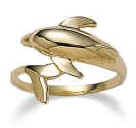 Dolphin trainers favorite jewelry