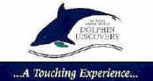 Click here to check out Six Flags Marine World's new "Dolphin Discovery" dolphin interactive program